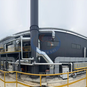 Organic Waste Gas Treatment Equipment