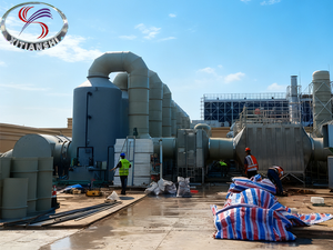 Exhaust Gas Treatment System