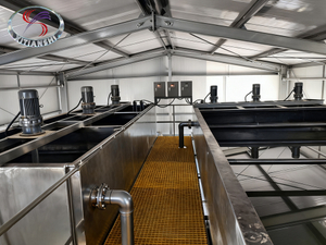 Incineration Flue Gas Scrubbing Wastewater Treatment